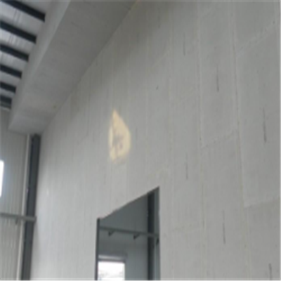 泰来新型建筑材料掺多种工业废渣的ALC|ACC|FPS模块板材轻质隔墙板